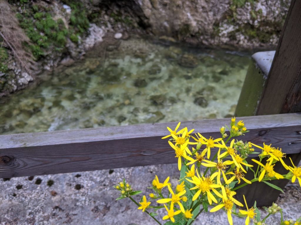 Mürzsteg