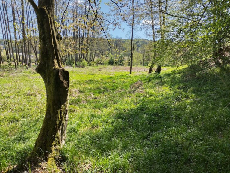 Kleingartenanlage