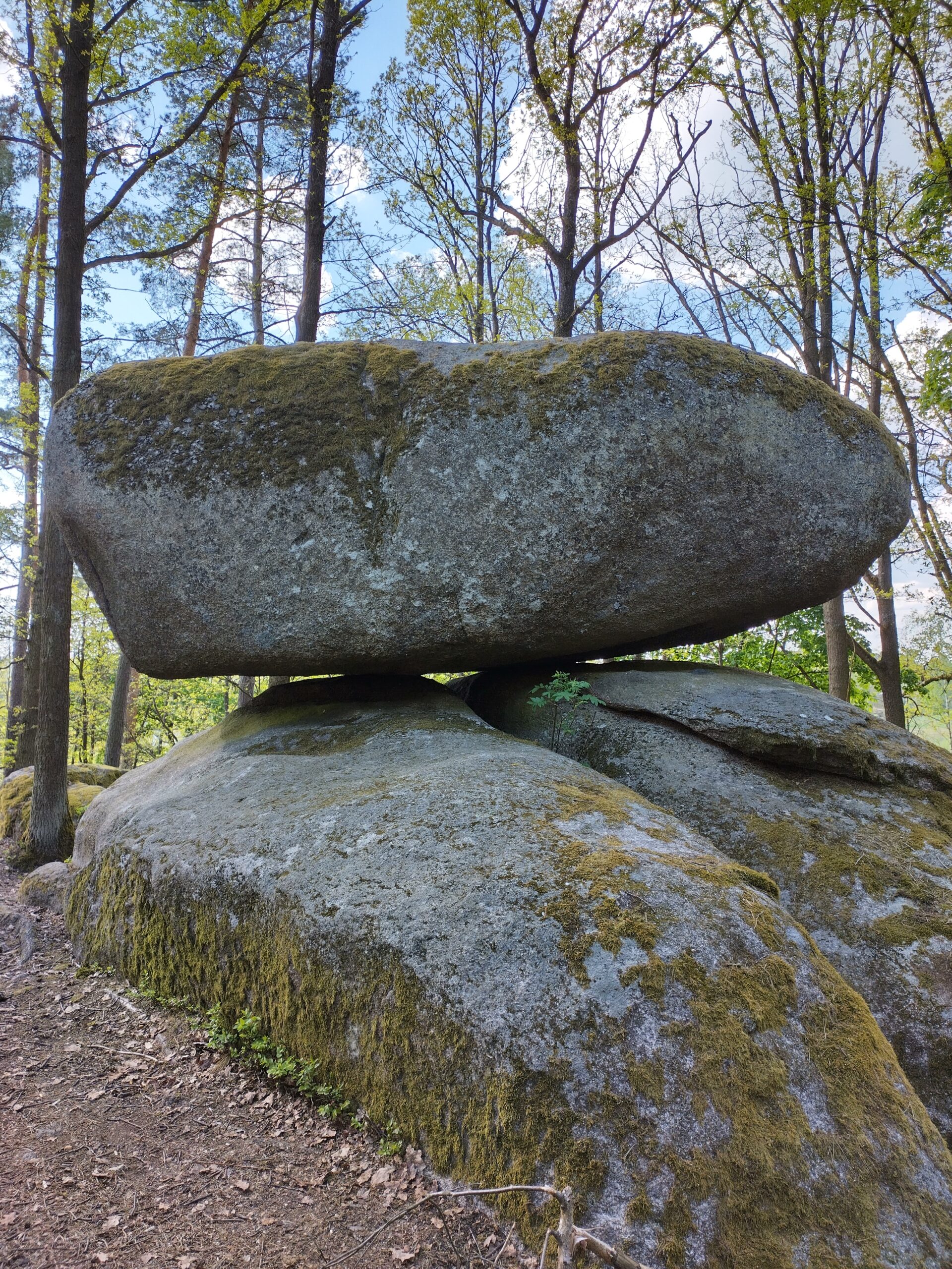 Blockheide Gmünd
