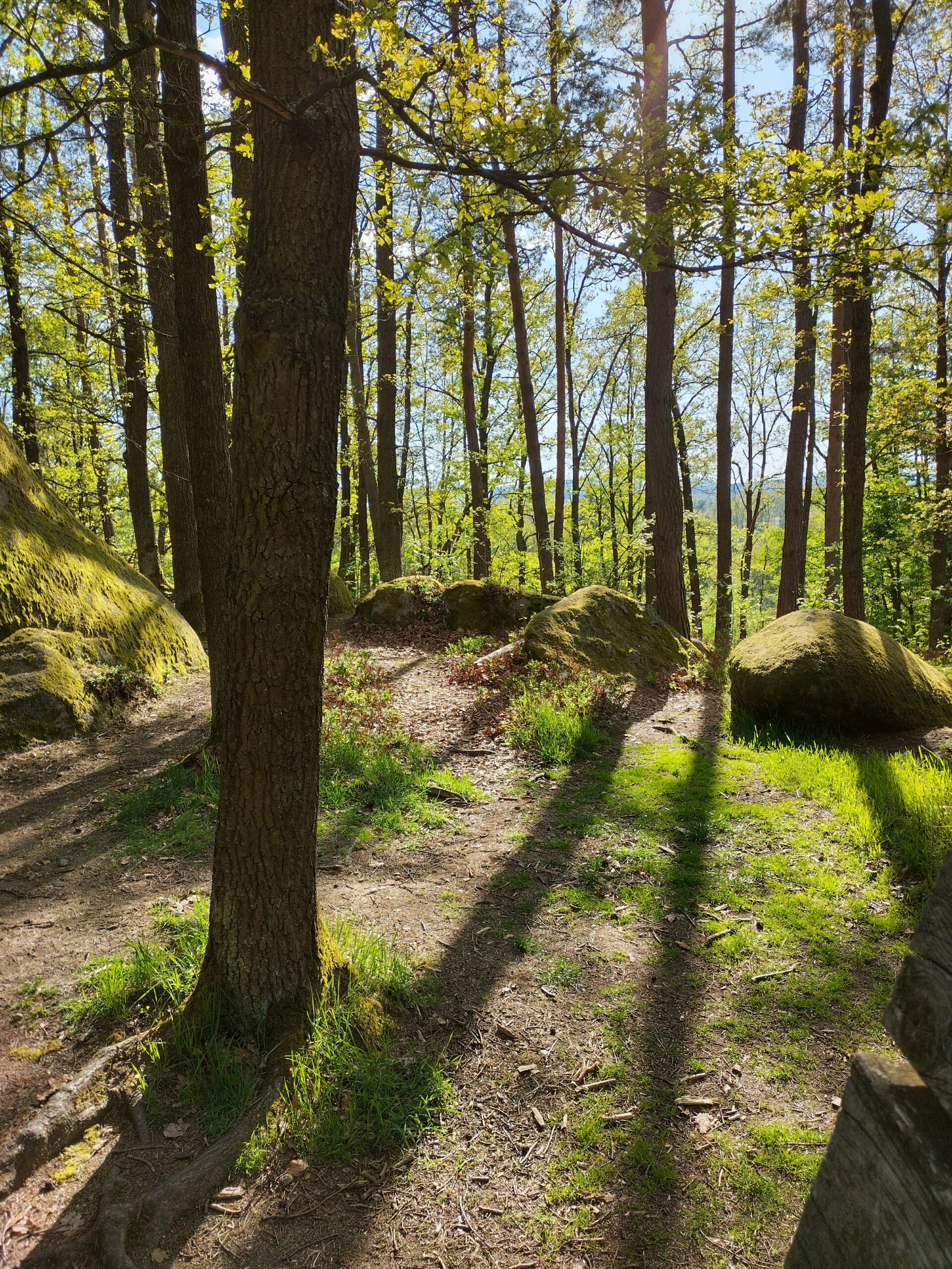 Blockheide Gmünd